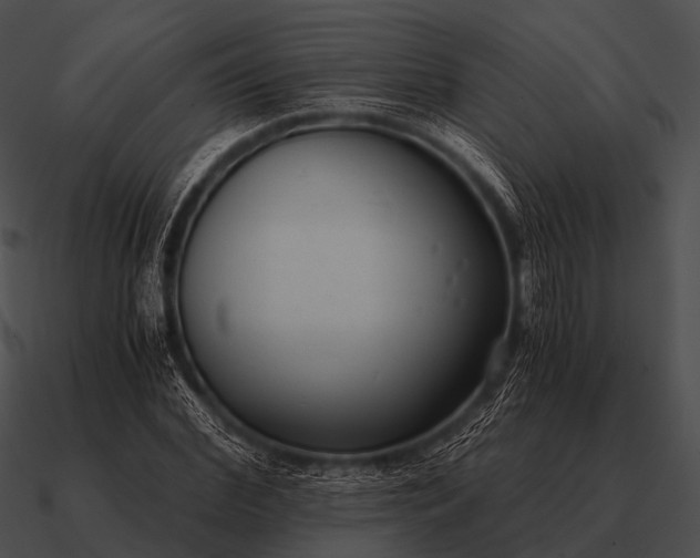 X0000090700972200708031409