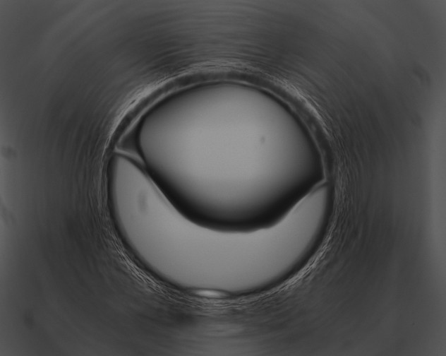 X0000090700973200708031409