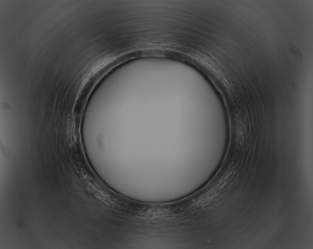 X0000090700974200708031409