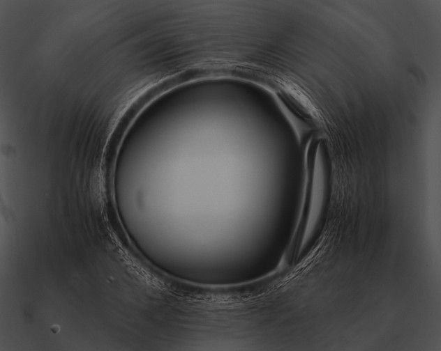 X0000090700976200708031409