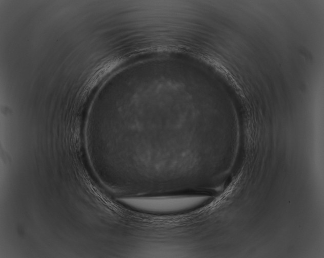 X0000090700977200708031409