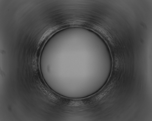 X0000090700978200708031409