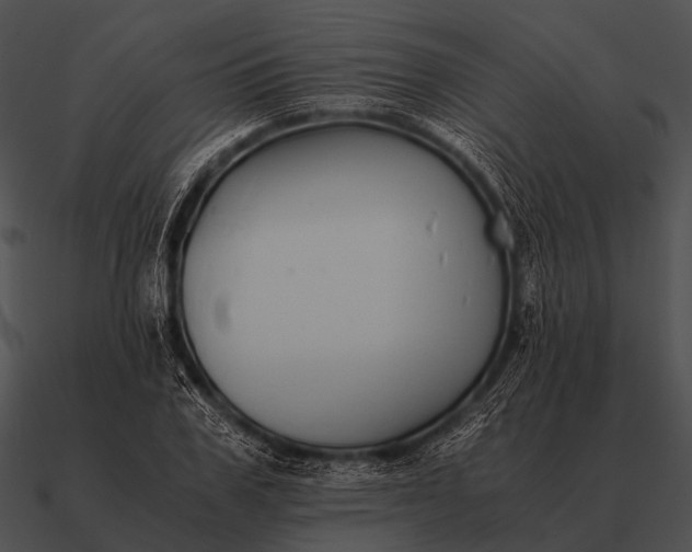 X0000090700979200708031409