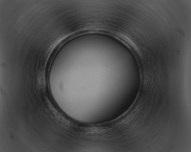 X0000090700980200708031409