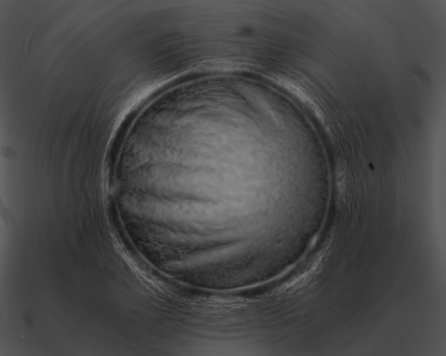 X0000090700981200708031409