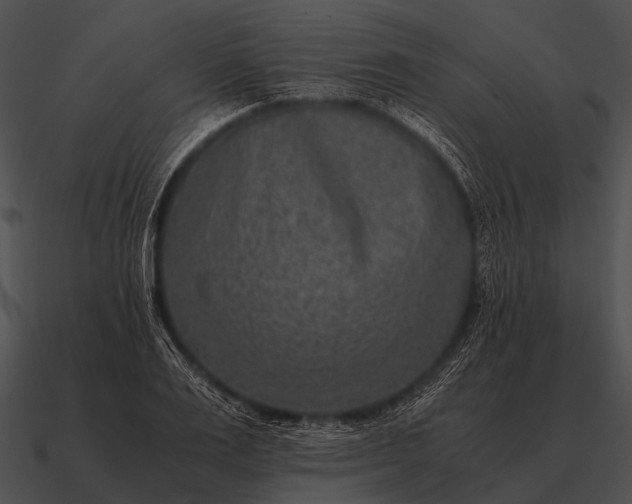 X0000090700983200708031409