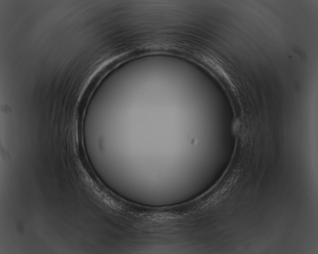 X0000090700984200708031409