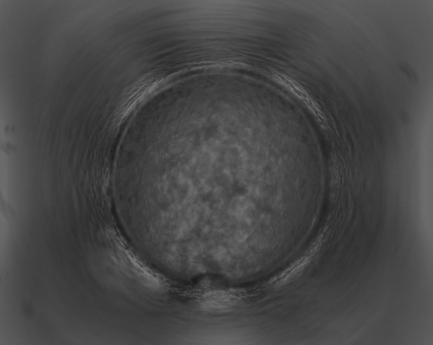 X0000090700985200708031409