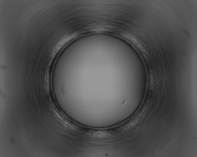 X0000090700986200708031409