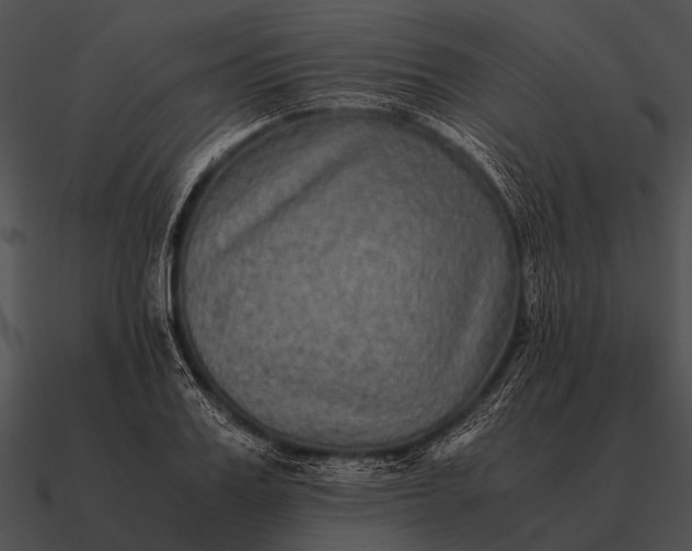 X0000090700987200708031409