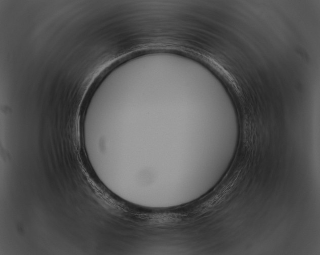 X0000090700988200708031409