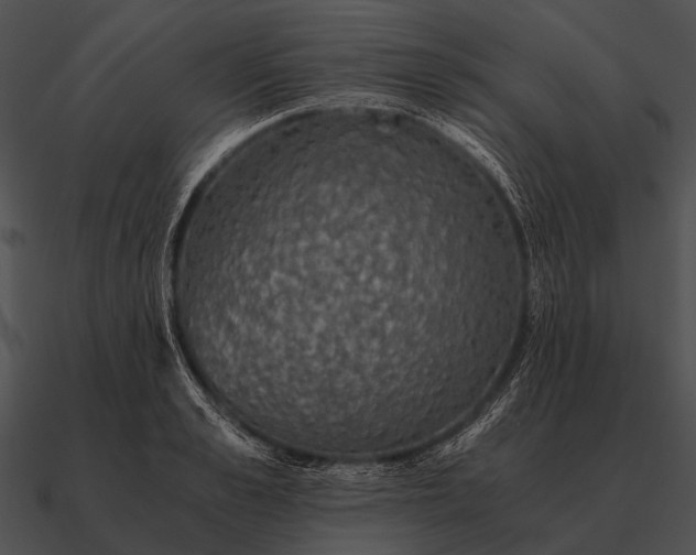 X0000090700989200708031409