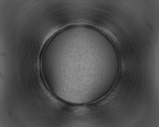 X0000090700990200708031409