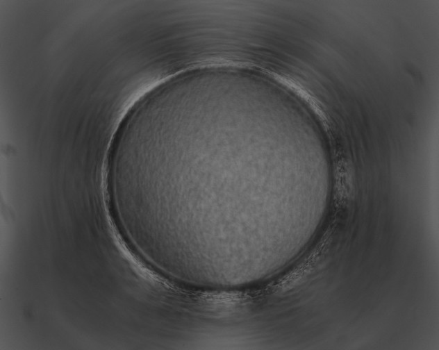 X0000090700991200708031409