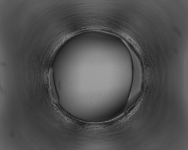 X0000090700993200708031409