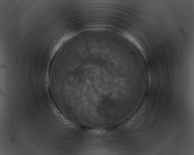 X0000090700994200708031409