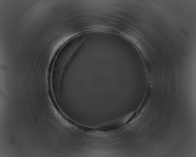 X0000090700995200708031409