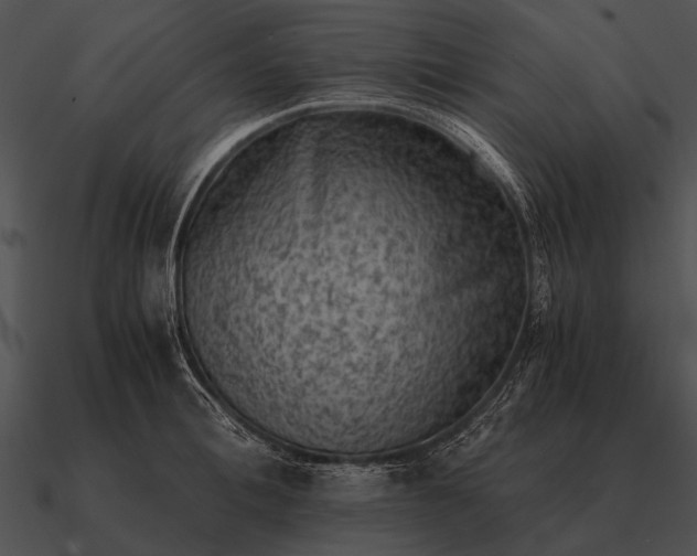 X0000090700996200708031409