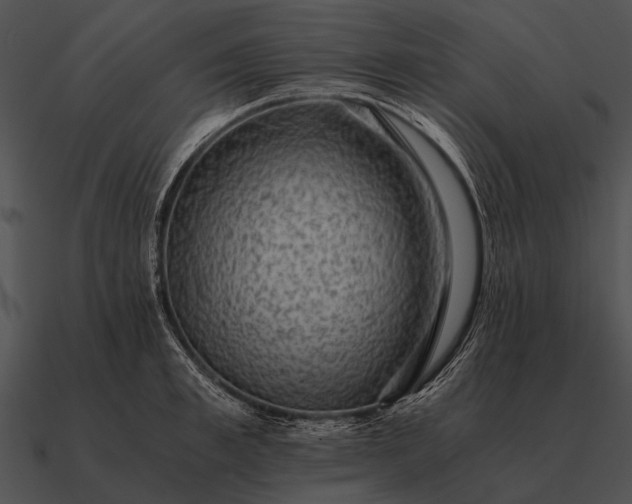 X0000090700997200708031409