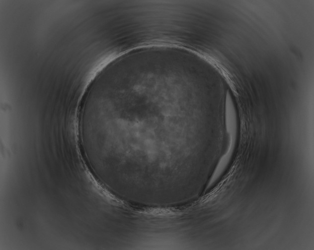 X0000090700998200708031409