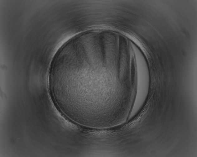 X0000090700999200708031409