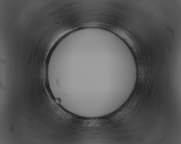 X0000090701000200708031409