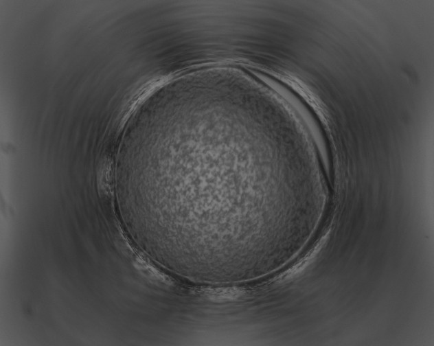 X0000090701001200708031409