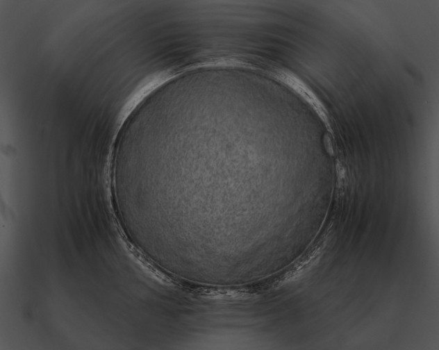 X0000090701002200708031409