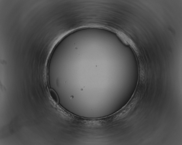 X0000090701004200708031409