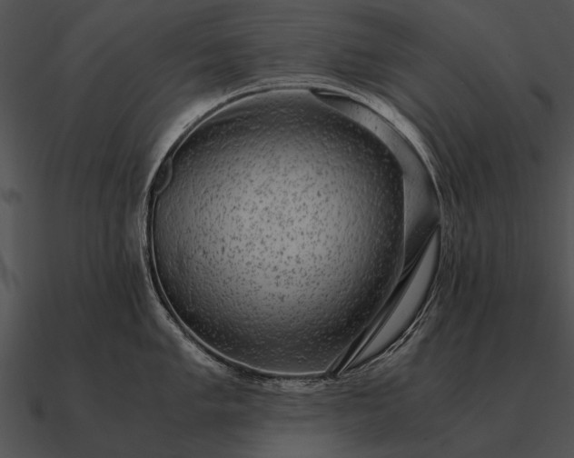 X0000090701005200708031409