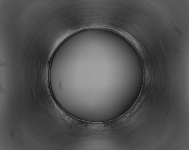 X0000090701006200708031409