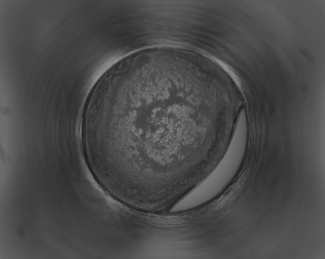 X0000090701007200708031409