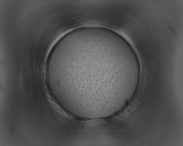 X0000090701008200708031409