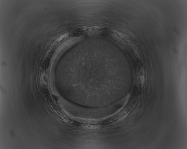 X0000090701010200708031408