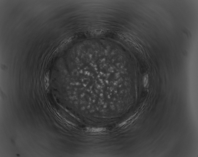 X0000090701011200708031408