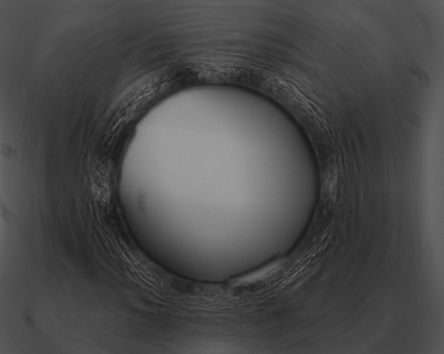 X0000090701012200708031408