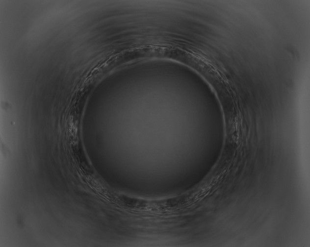 X0000090701013200708031408