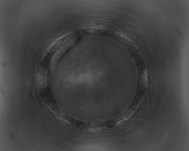 X0000090701014200708031408