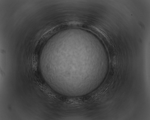 X0000090701015200708031408