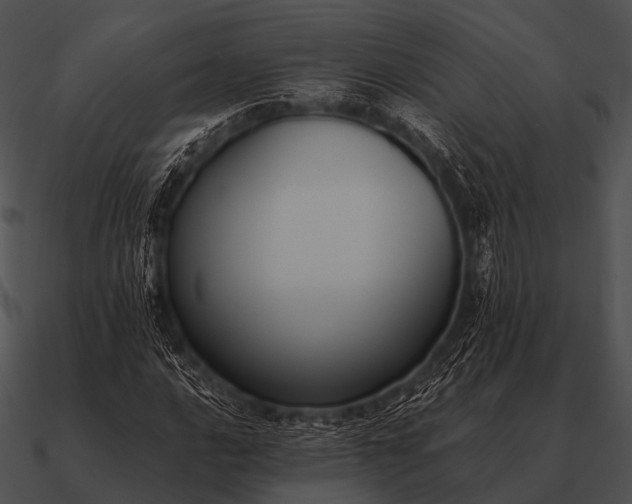 X0000090701016200708031408