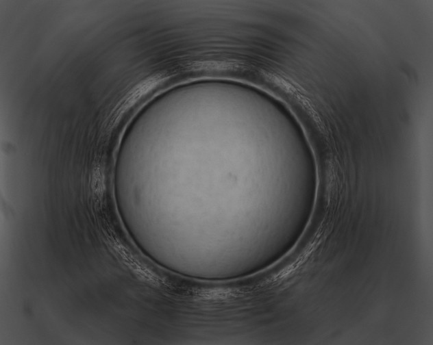 X0000090701017200708031408