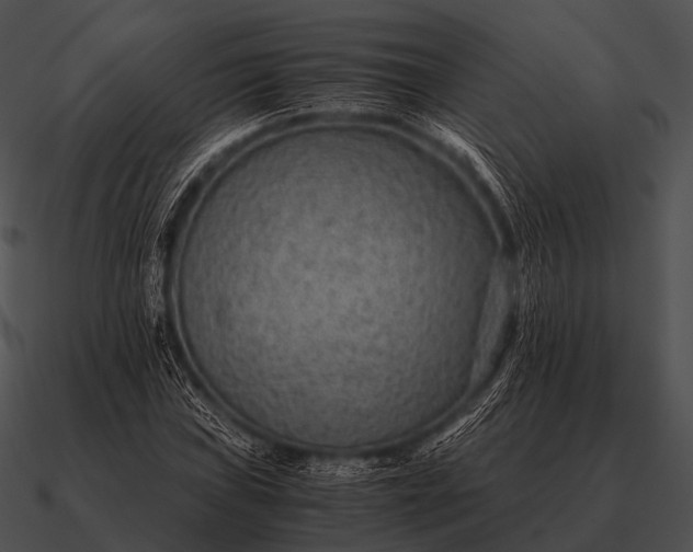 X0000090701019200708031408