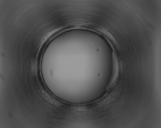 X0000090701020200708031408