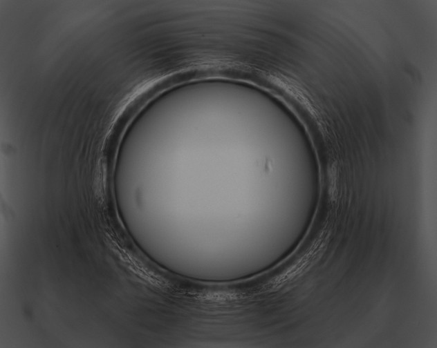 X0000090701021200708031409