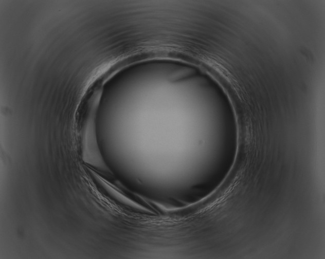 X0000090701022200708031409