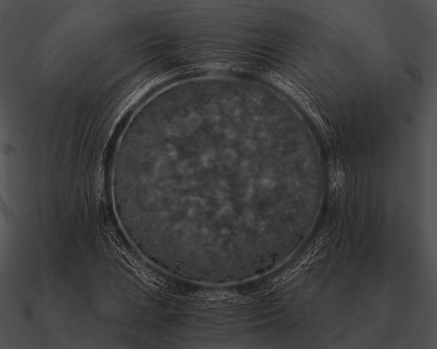 X0000090701023200708031409