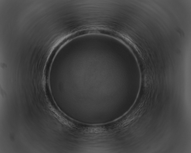 X0000090701024200708031409