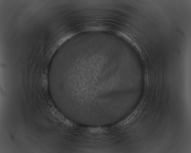 X0000090701025200708031409