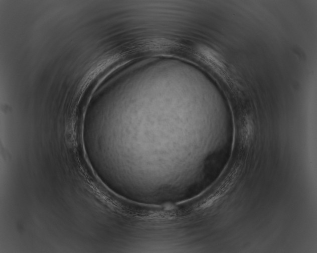 X0000090701026200708031409