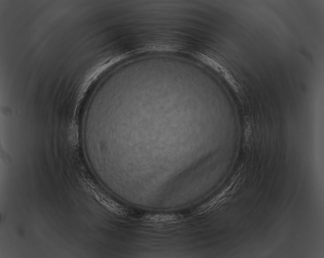 X0000090701027200708031409